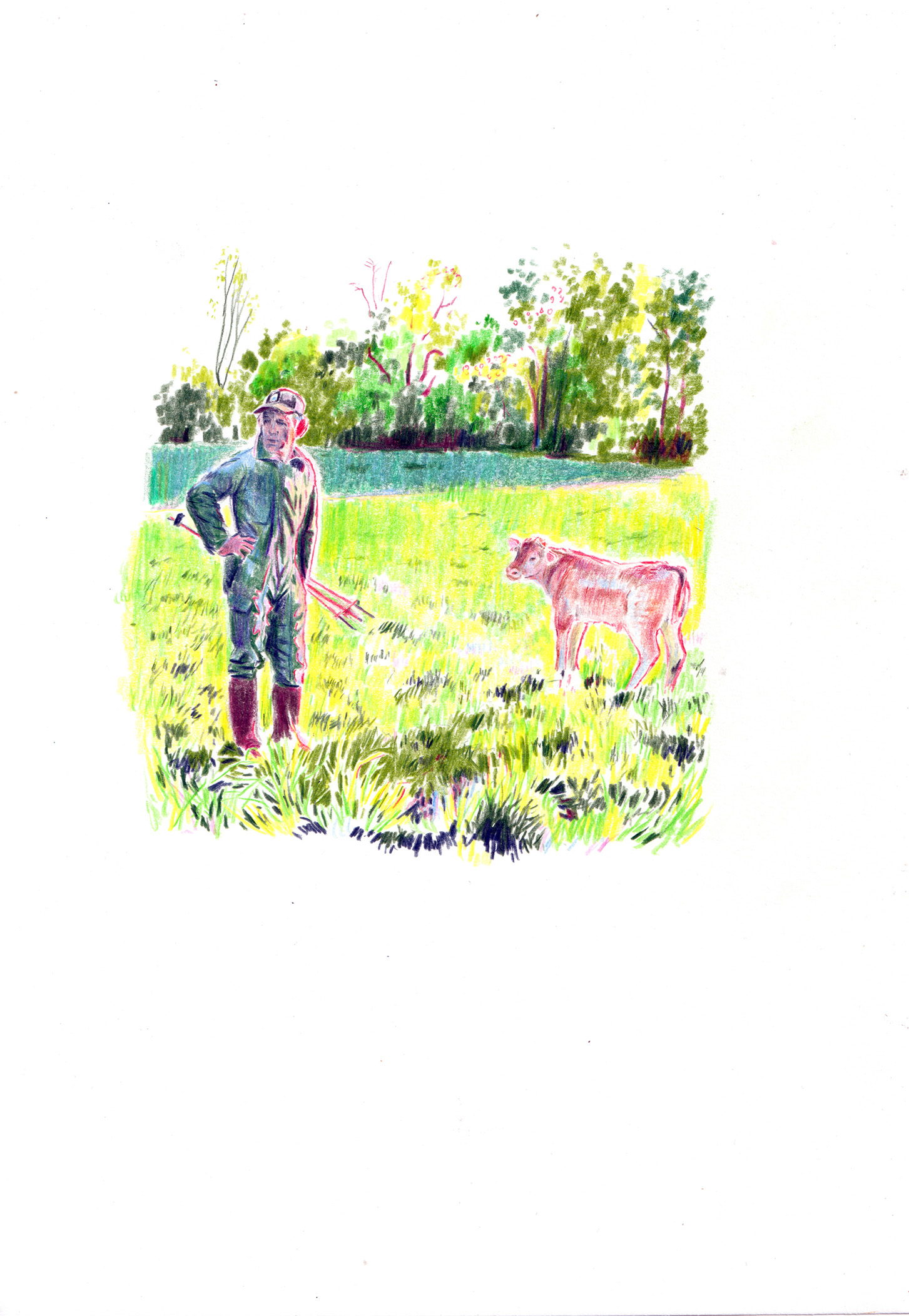 Agriculteur avec un veau dans un près, crayon de couleur sur papier (21x29,7 cm)