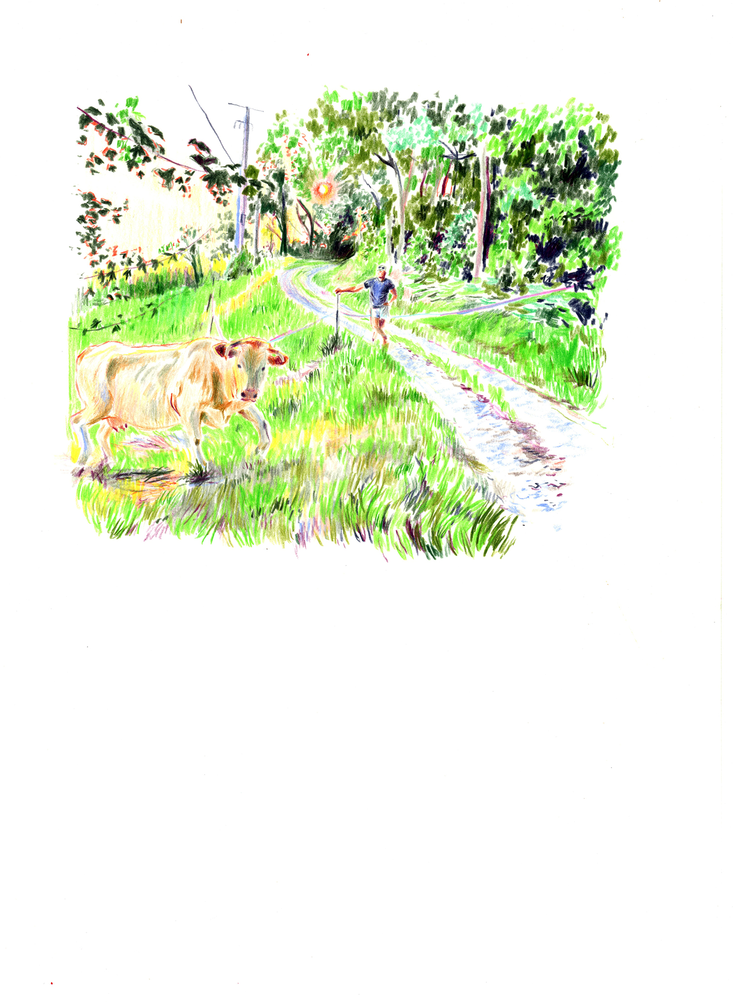 Dessin d'un éleveur surveillant le passage de ses vaches d'un près à l'autre