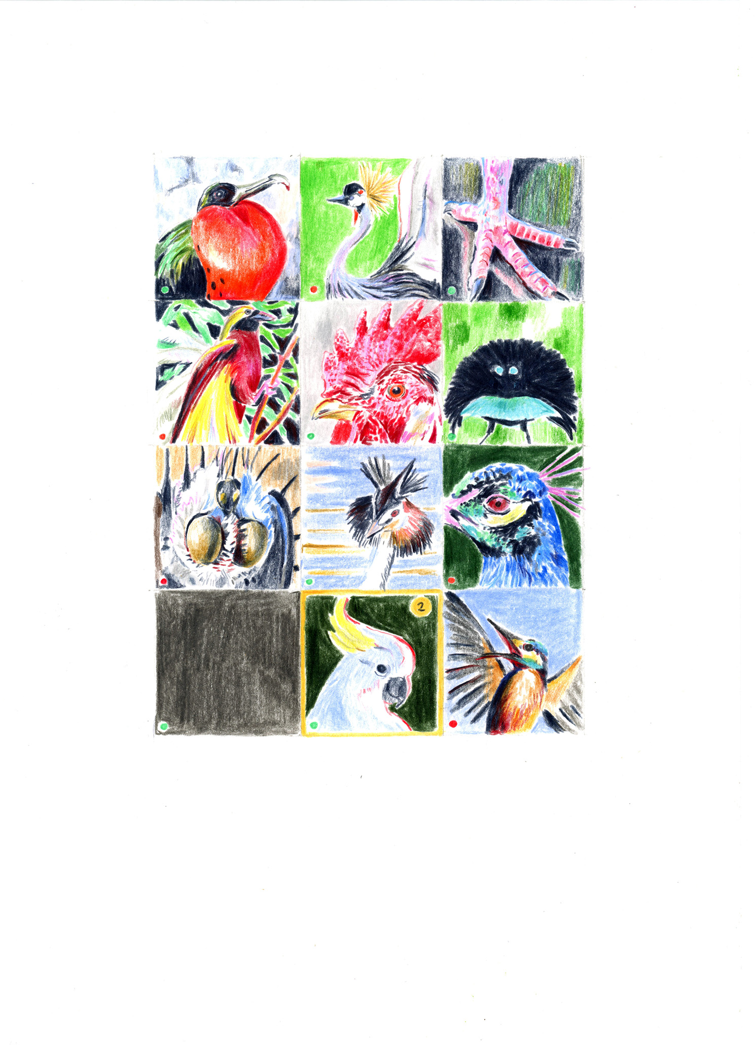 Dessin d'une application de rencontre pour oiseaux