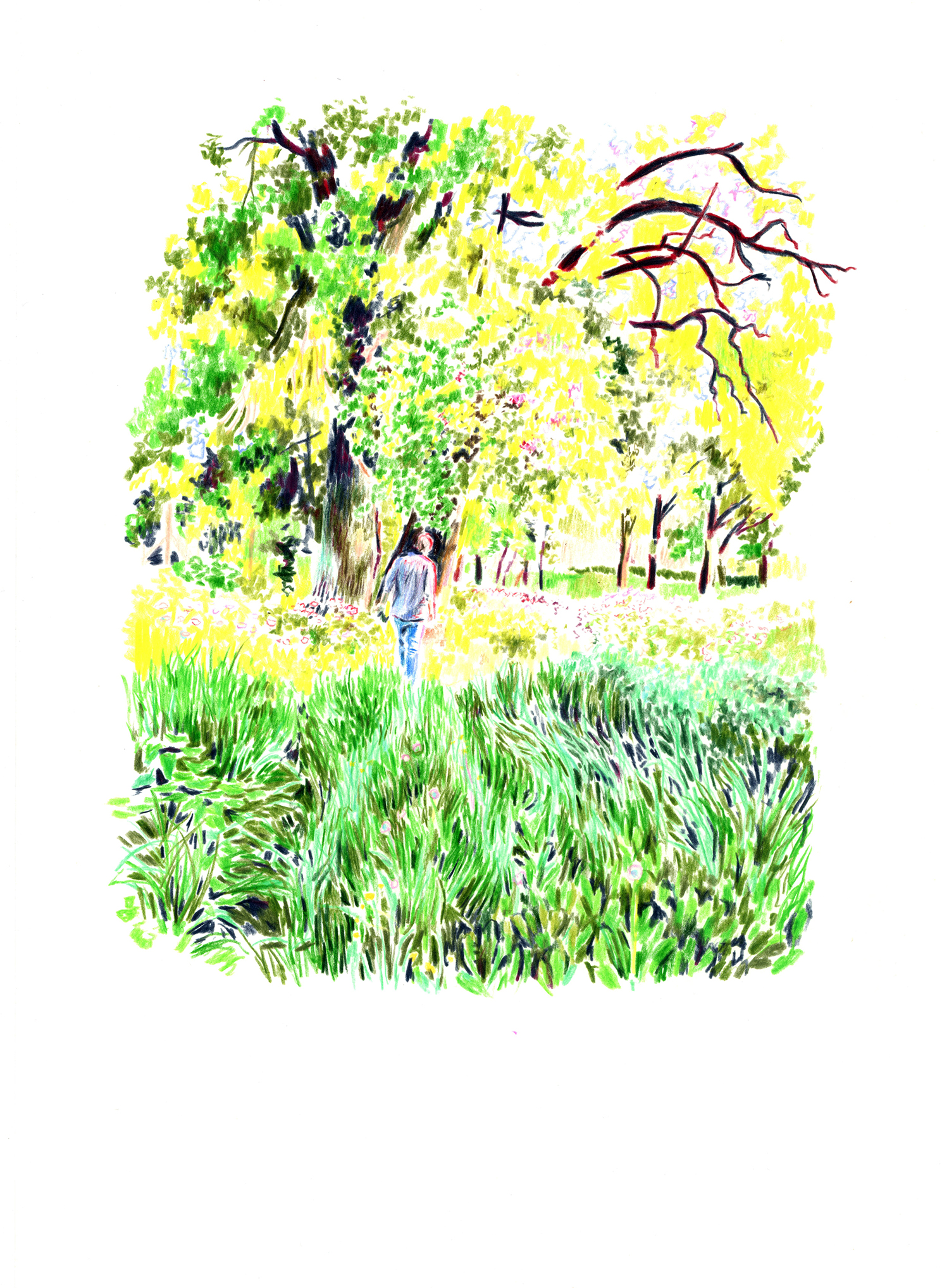 Dessin d'une femme marchant dans une prairie