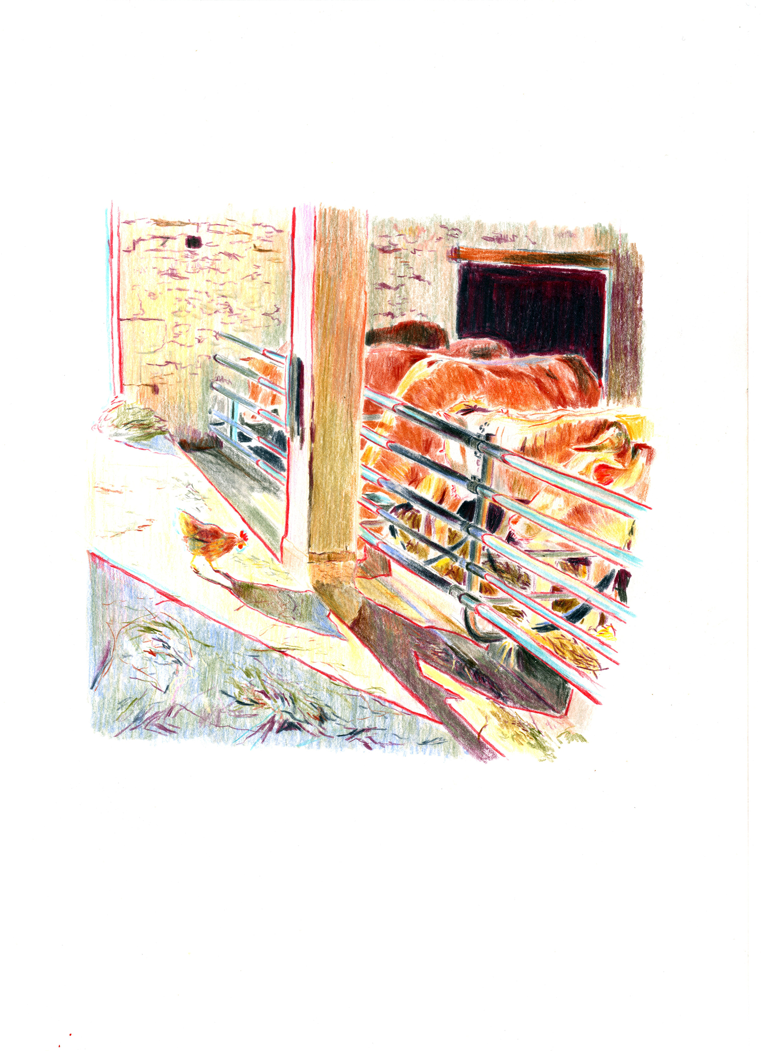 Dessin d'une poule marchant dans une grange