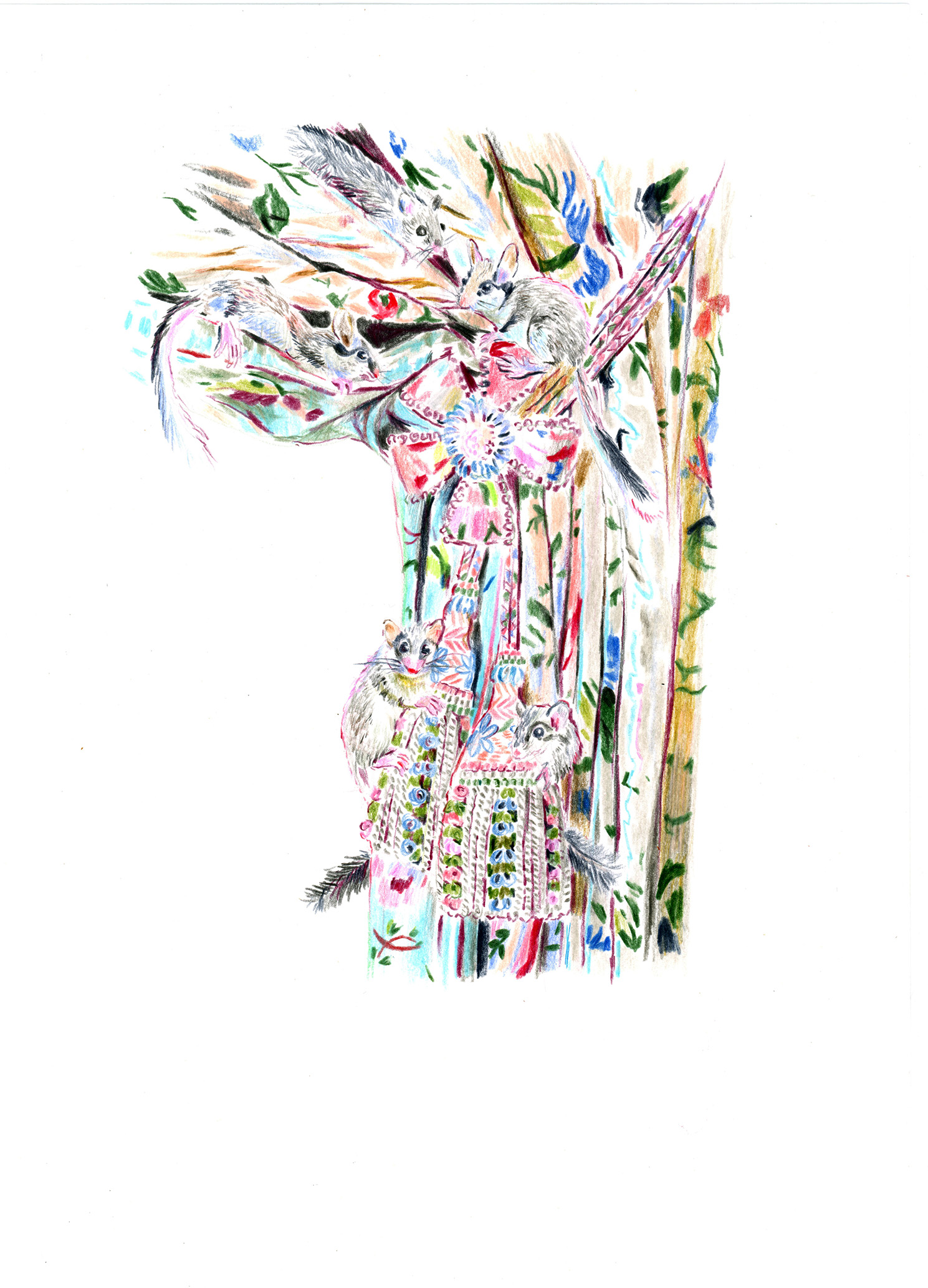 Passementeries de rideaux cachant des loirs