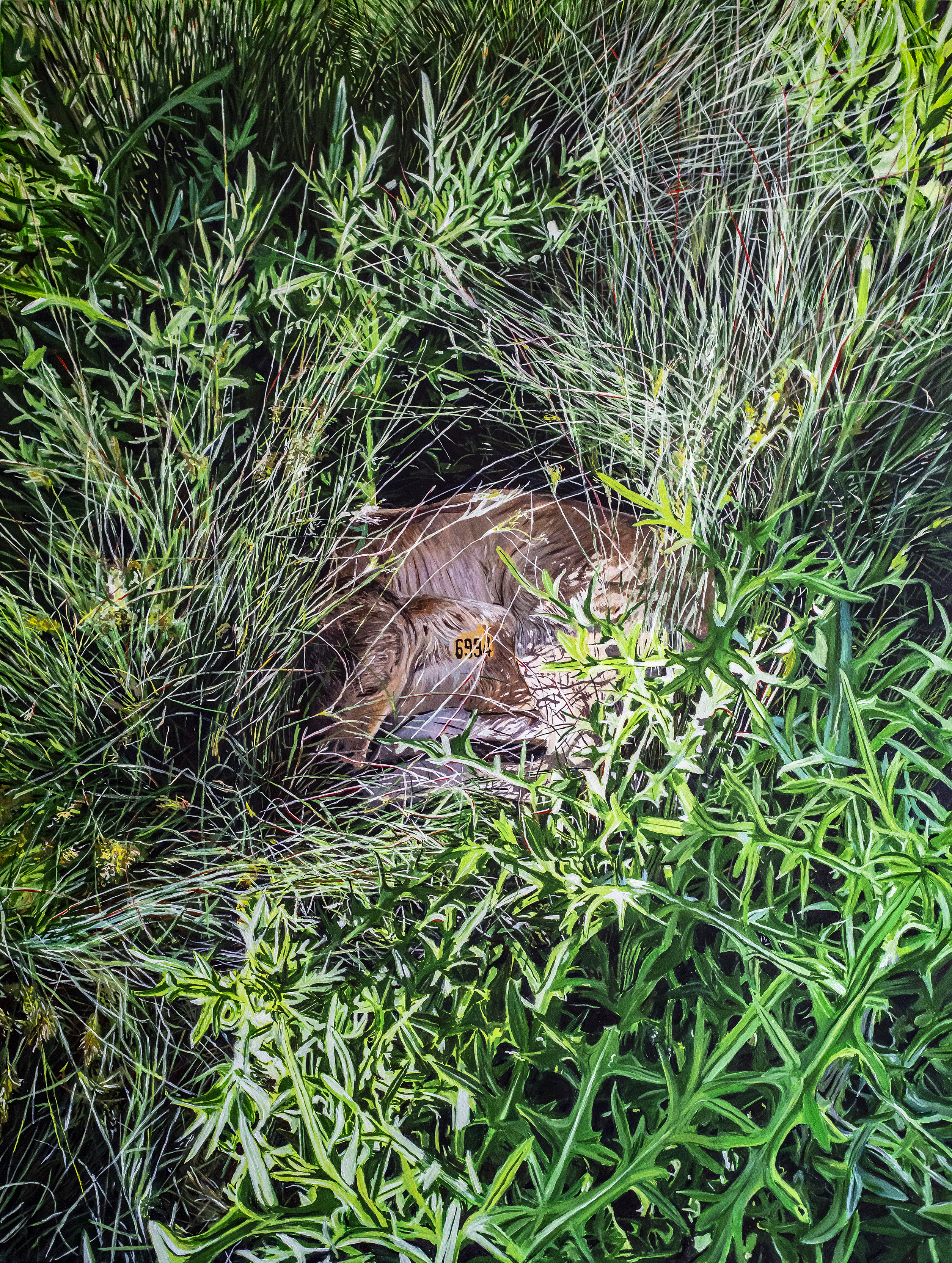peinture de veau caché dans les joncs et les chardons
